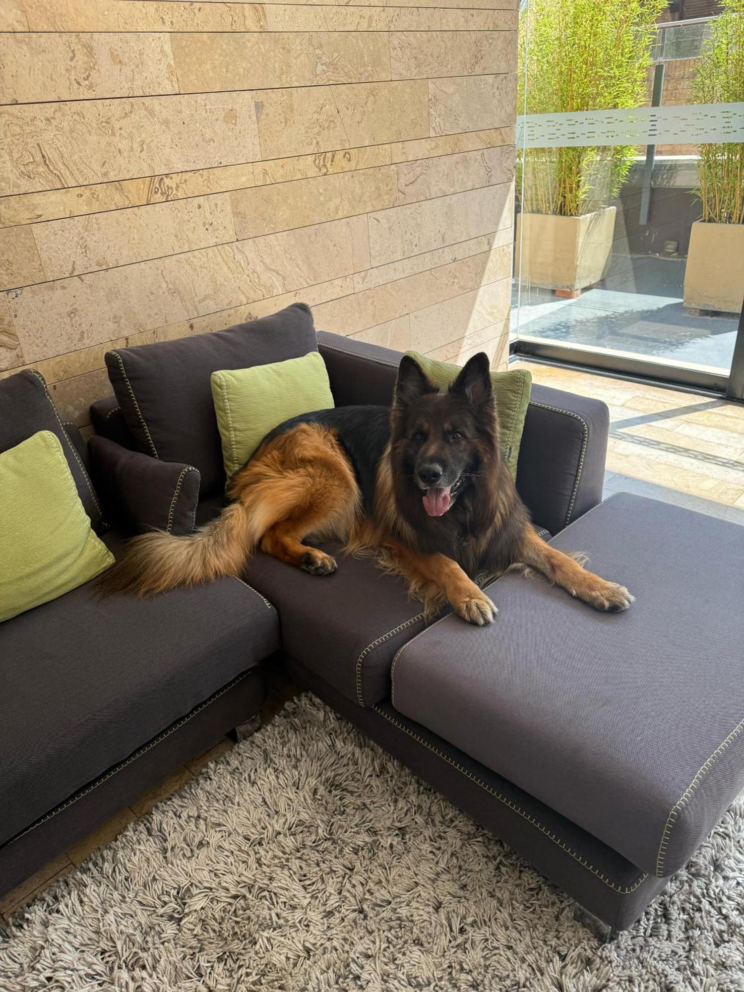 Central Apartamentos Bogotá Zewnętrze zdjęcie